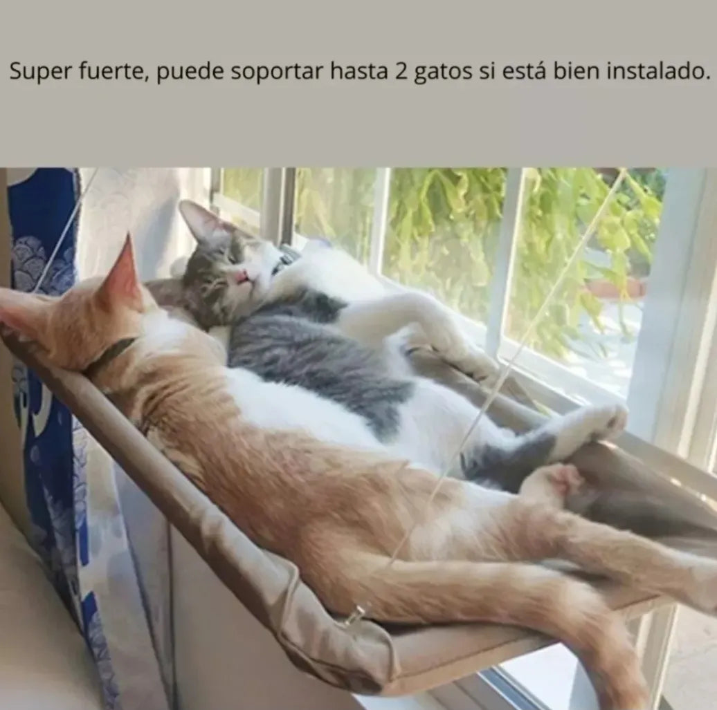 Cama colgante gato pared hamaca